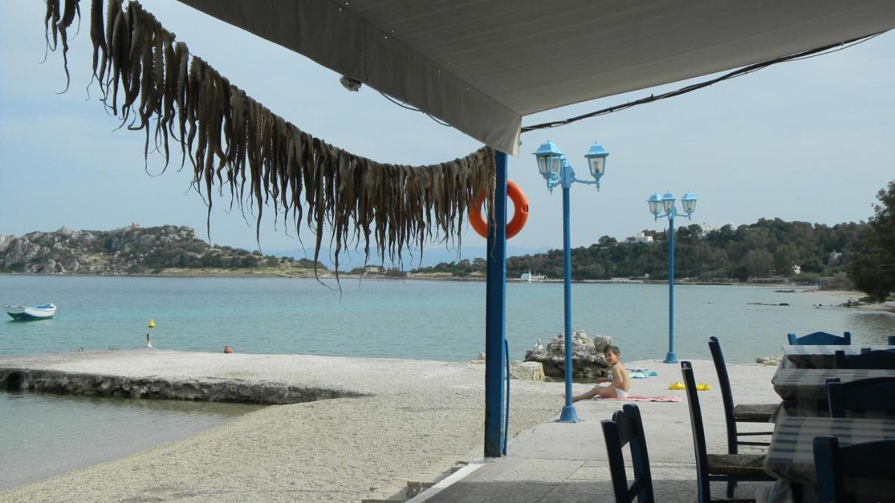Cosy Guesthouse-Souterrain With Garden In City Center Corinth Dış mekan fotoğraf