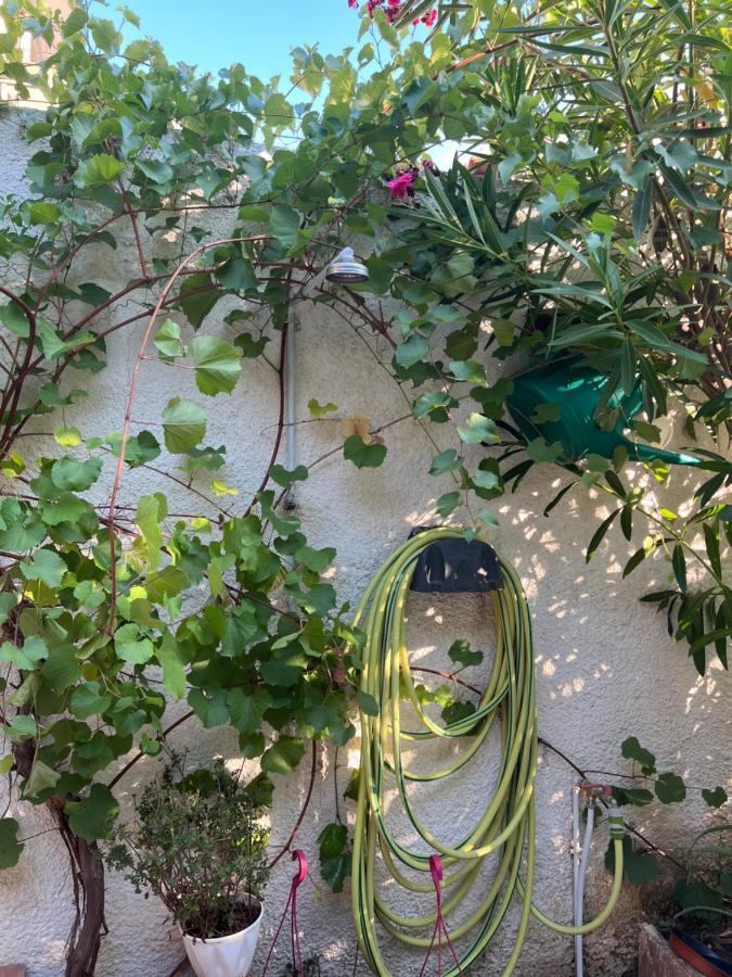 Cosy Guesthouse-Souterrain With Garden In City Center Corinth Dış mekan fotoğraf