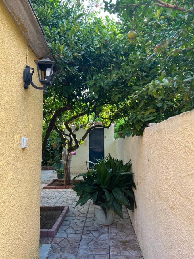 Cosy Guesthouse-Souterrain With Garden In City Center Corinth Dış mekan fotoğraf